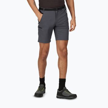 Pánské trekingové šortky Regatta Xert Stretch III seal grey