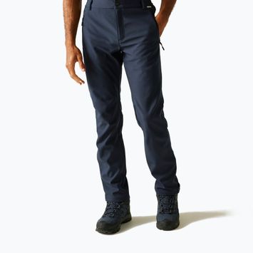 Pánské softshellové kalhoty REGATTA Geo Softshell II navy