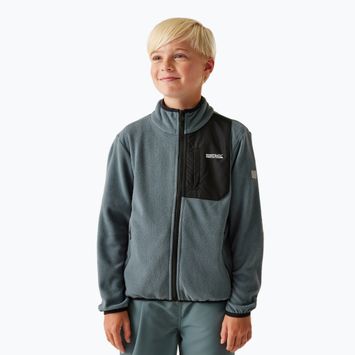 Dětská fleecová mikinaREGATTA Frankie Full Zip stormy weather