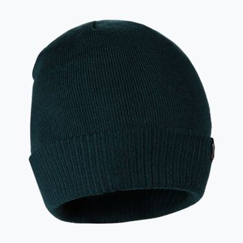 Pánská zimní čepice Pitbull West Coast Beanie Small Logo dark green