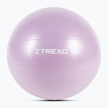 Gymnastický míč XTREXO TXO-B4Z008-VT 65 cm violet