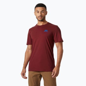 Pánské tričko Helly Hansen Nord Graphic mars red