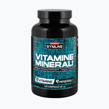 Vitamíny a minerály Enervit Gymline Muscle Vitamins Minerals 120 kapslí