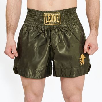 Pánské boxerské šortky  LEONE 1947 Basic 2 green