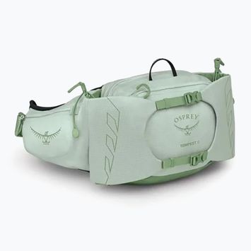 Ledvinka Osprey Tempest 6 l frosty mint / green botanica
