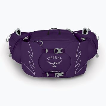 Pánská ledvinka Osprey Tempest 6 l violac purple 