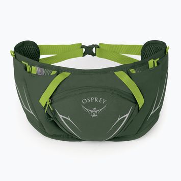Ledvinka Osprey Duro Dyna 2 l seaweed green/limon