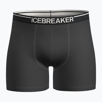 Pánské termo boxerky Icebreaker Anatomica plume jet heather