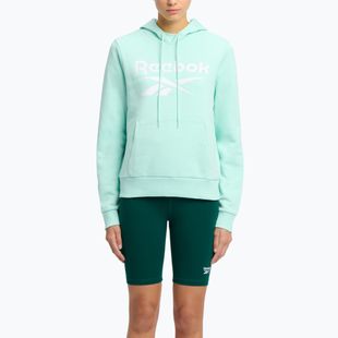 Dámská mikina Reebok Identity Big Logo Fleece glitch aqua