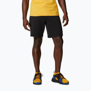 Pánské trekingové kraťasy Columbia Logo Fleece černé 1884601010