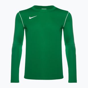 Pánské fotbalové tričko longsleeve Nike Dri-FIT Park 20 Crew pine green/white