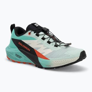 Dámské běžecké boty Salomon Sense Ride 5 bay/black/cherry tomato