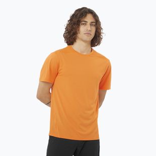 Pánské tričko Salomon Outline Tee turmeric