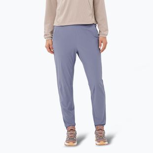 Dámské trekové kalhoty Salomon Wayfarer Ease blue granite