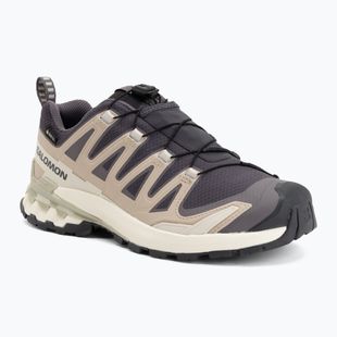 Dámské běžecké boty Salomon XA Pro 3D V9 GTX nine iron/oxford tan