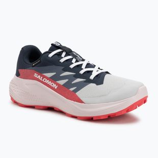 Dámské běžecké boty Salomon Alphaglide GTX lunar rock/blue night/rouge red