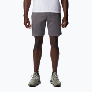 Pánské trekingové kraťasy Columbia Logo Fleece šedé 1884601023