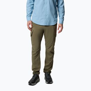 Pánské trekové kalhoty  Columbia Skien Valley Cargo stone green