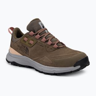 Dámské turistické boty The North Face Cragstone Leather WP brown NF0A818JIX71