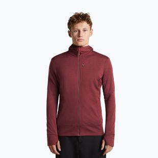 Pánská mikina Icebreaker Merino 260 Quantum IV LS Zip Hoodie port/agate