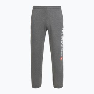Pánské kalhoty The North Face Varsity Graphic medium grey heather