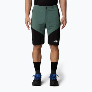 Pánské trekové šortky The North Face Felik Slim Tapered Short duck green/tnf black
