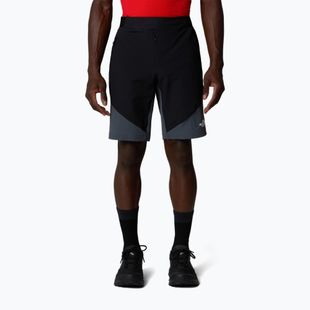 Pánské trekové šortky The North Face Circadian Alpine tnf black/asphalt grey