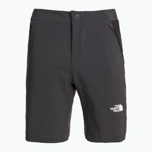 Dámské trekové šortky The North Face Felik Slim Tapered asphalt grey/tnf black