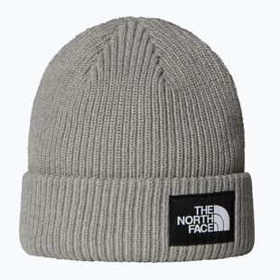 Zimní čepice The North Face Salty Lined