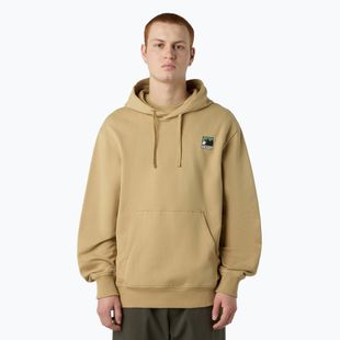 Pánská mikina The North Face Mountain Logo Relaxed Hooded khaki stone
