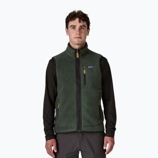 Pánská vesta Patagonia Retro Pile Fleece old growth green