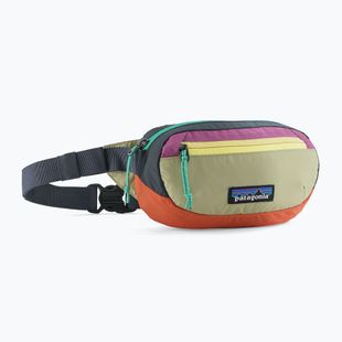 Ledvinka Patagonia Terravia Mini Hip patchwork/gumtree green
