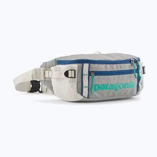 Ledvinka Patagonia Black Hole Waist Pack 5 l birch white