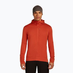 Pánská mikina Icebreaker Merino 260 Quantum IV Zip Hoodie agate