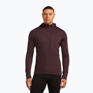 Pánská trekingová mikina Icebreaker Merino 200 RealFleece Descender Zip Hoodie java