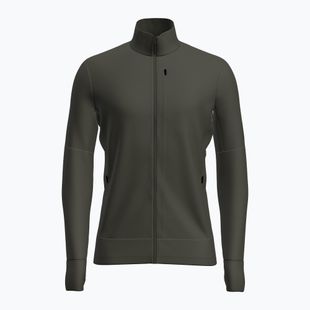Pánská trekingová mikina Icebreaker Merino 260 Quantum IV LS Zip dark loden