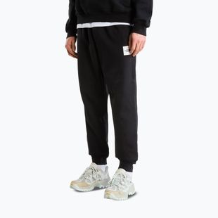 Pánské kalhoty The North Face Evo Box Half Dome Regular Tappered tnf black