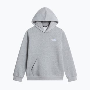 Dětská mikina The North Face Evolution Simple Dome Pullover Hood tnf pale grey heather