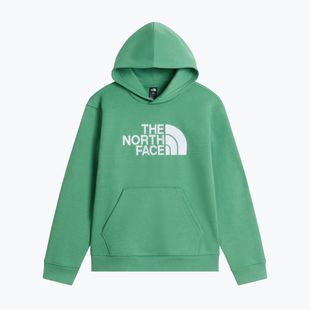 Dětská mikina The Noryh Face Essential Drew Peak Hoodie dimmed algae