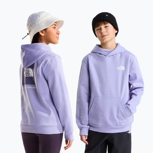 Dětská mikina The North Face Evolution Box NSE Pullover Hoodies pale plum