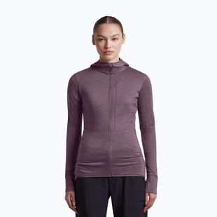 Dámská trekingová mikina Icebreaker Merino 200 Realfleece Descender Half Zip Hoodie grey plum