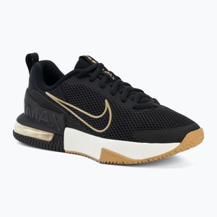 Pánské tréninkové boty Nike Air Max Alpha Trainer 6 black/sail/parachute beige