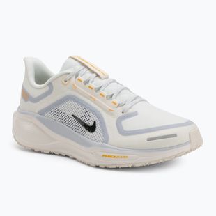 Pánské běžecké boty Nike Pegasus 41 GTX sail/football grey/sundial/ashen slate