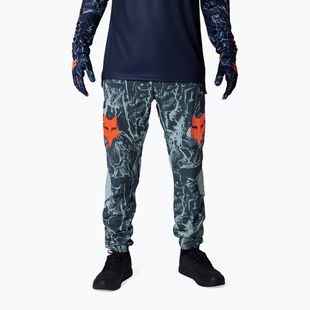 Pánské cyklistické kalhoty Fox Racing Ranger Image Print arctic blue