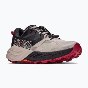 Pánské běžecké boty HOKA Speedgoat 7 GTX black/river rock grey