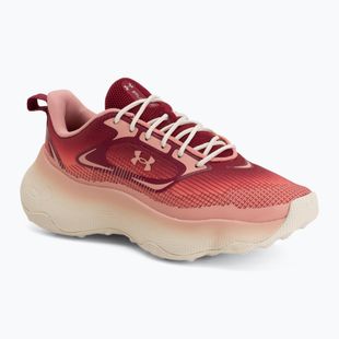 Dámské tréninkové boty Under Armour Pulse claret/posh pink/posh pink