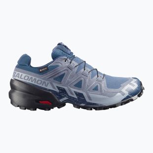 Pánské běžecké boty Salomon Speedcross 6 GTX spellbound/black