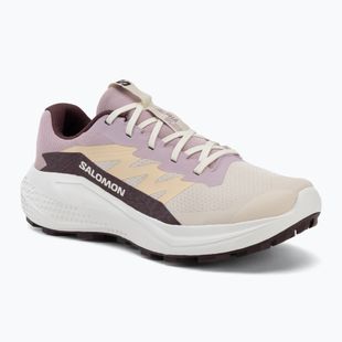 Dámské běžecké boty Salomon Alphaglide tapioca/dawn pink