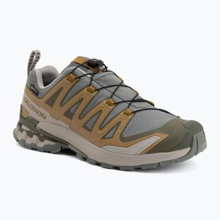 Pánské běžecké boty Salomon XA Pro 3D V9 GTX sedona sage/brilliant olive