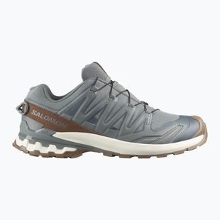 Pánské běžecké boty Salomon XA Pro 3D V9 GTX Lifelong sedona sage/coyote brown